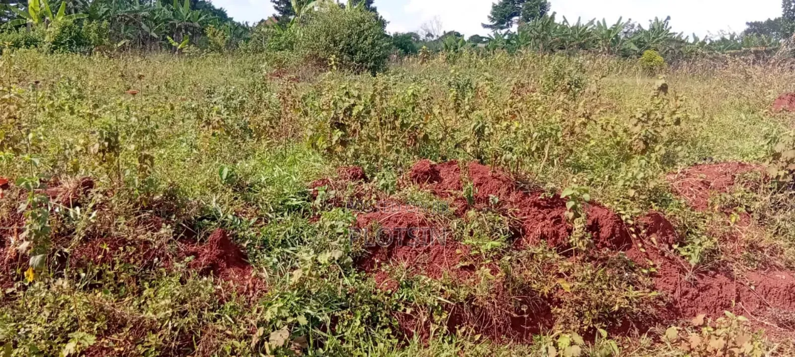 5 Acres Of Land – Balawoli Trading Centre, Kamuli District in Kamuli