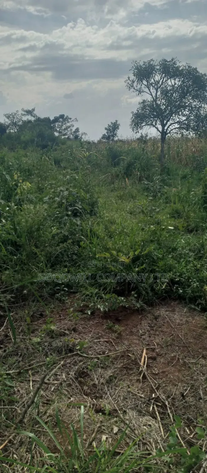 10 Acres of Land for Sale in Mazzi Luwero in Central Division