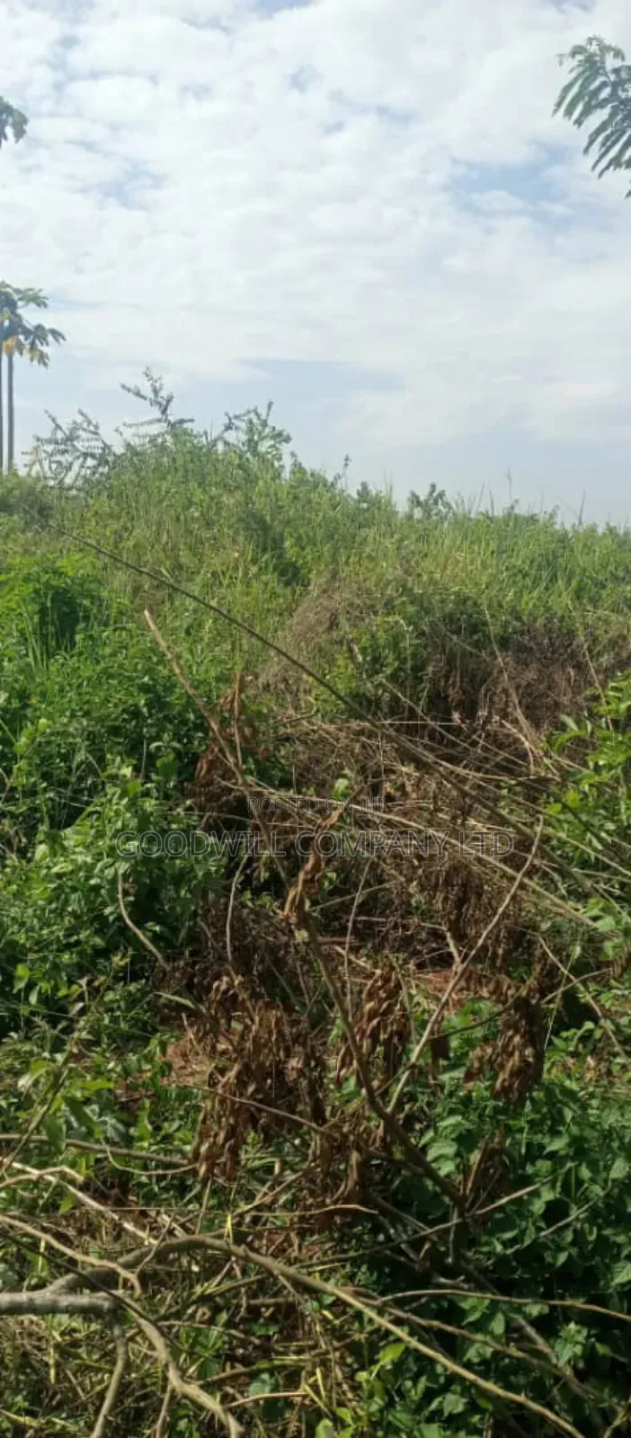 10 Acres of Land for Sale in Mazzi Luwero in Central Division