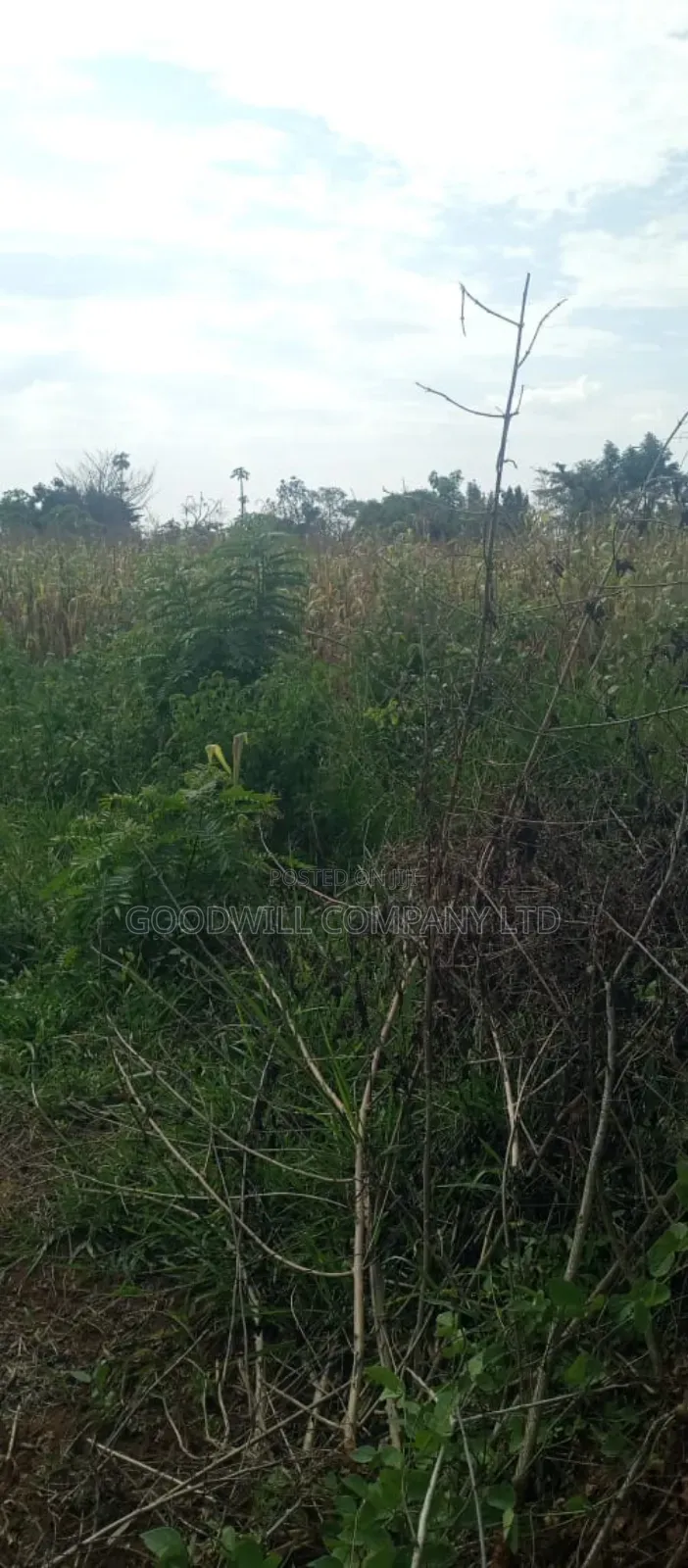 10 Acres of Land for Sale in Mazzi Luwero in Central Division