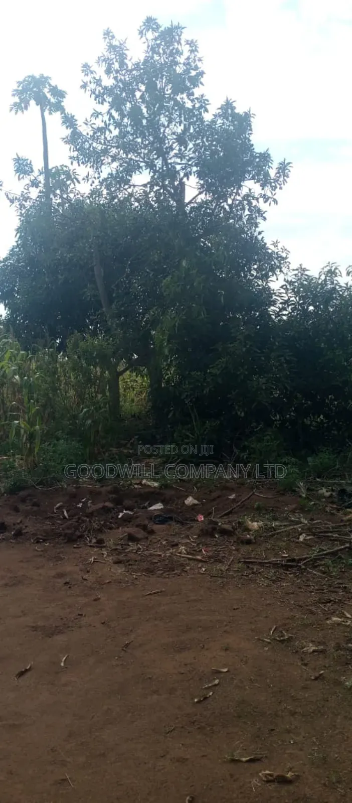 10 Acres of Land for Sale in Mazzi Luwero in Central Division