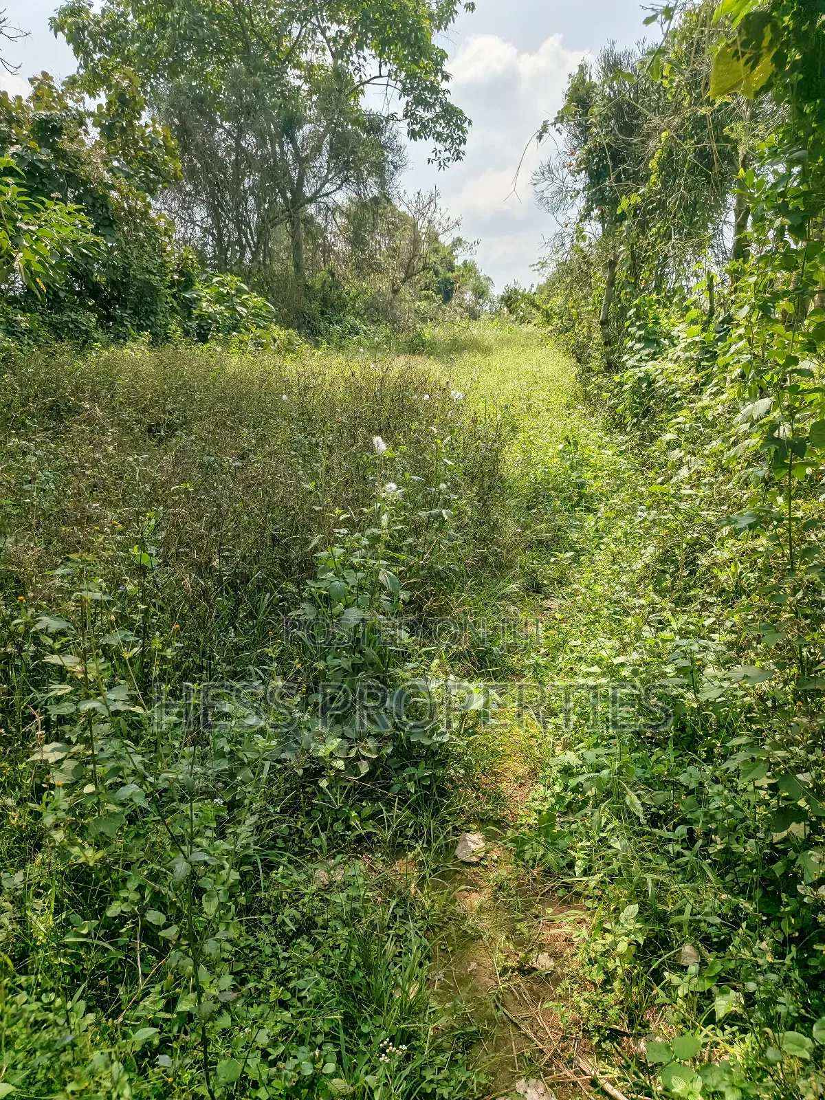 Commercial Land on Sale Located in Kagorogoro-Kyenjojo in Kyenjojo