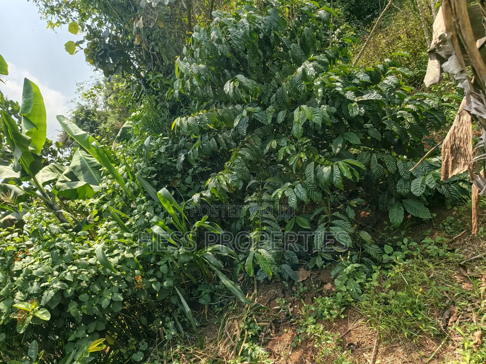 Commercial Land on Sale Located in Kagorogoro-Kyenjojo in Kyenjojo
