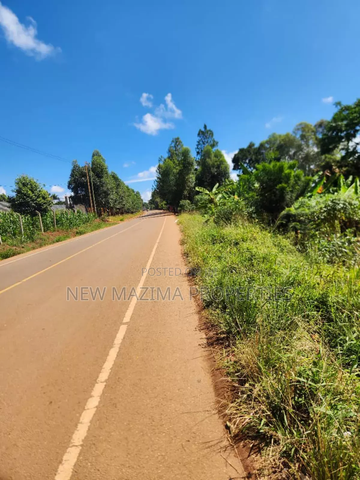 45 Decimals Forcedsale Measuring Direct From Tarmac on Namulanda Janyi in Central Division