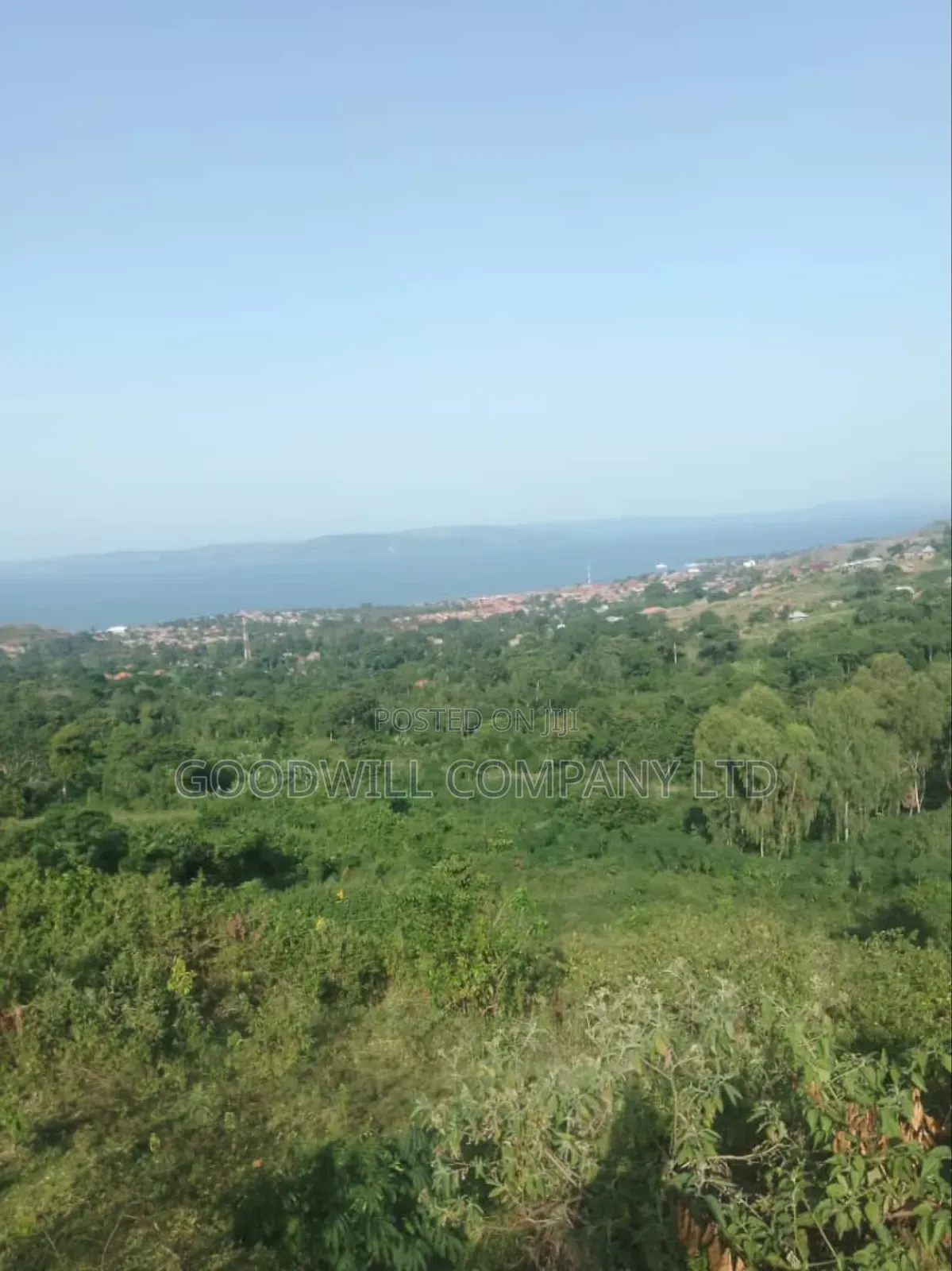 7 Acres of Land in Kiyindi Buikwe, Mukono-Katosi-Nkokonjeru Road in Central Division