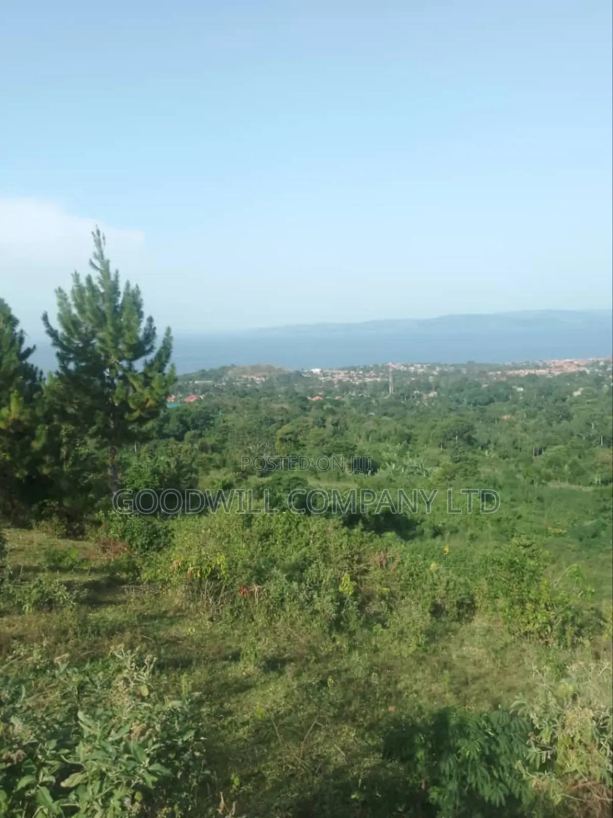 7 Acres of Land in Kiyindi Buikwe, Mukono-Katosi-Nkokonjeru Road in Central Division