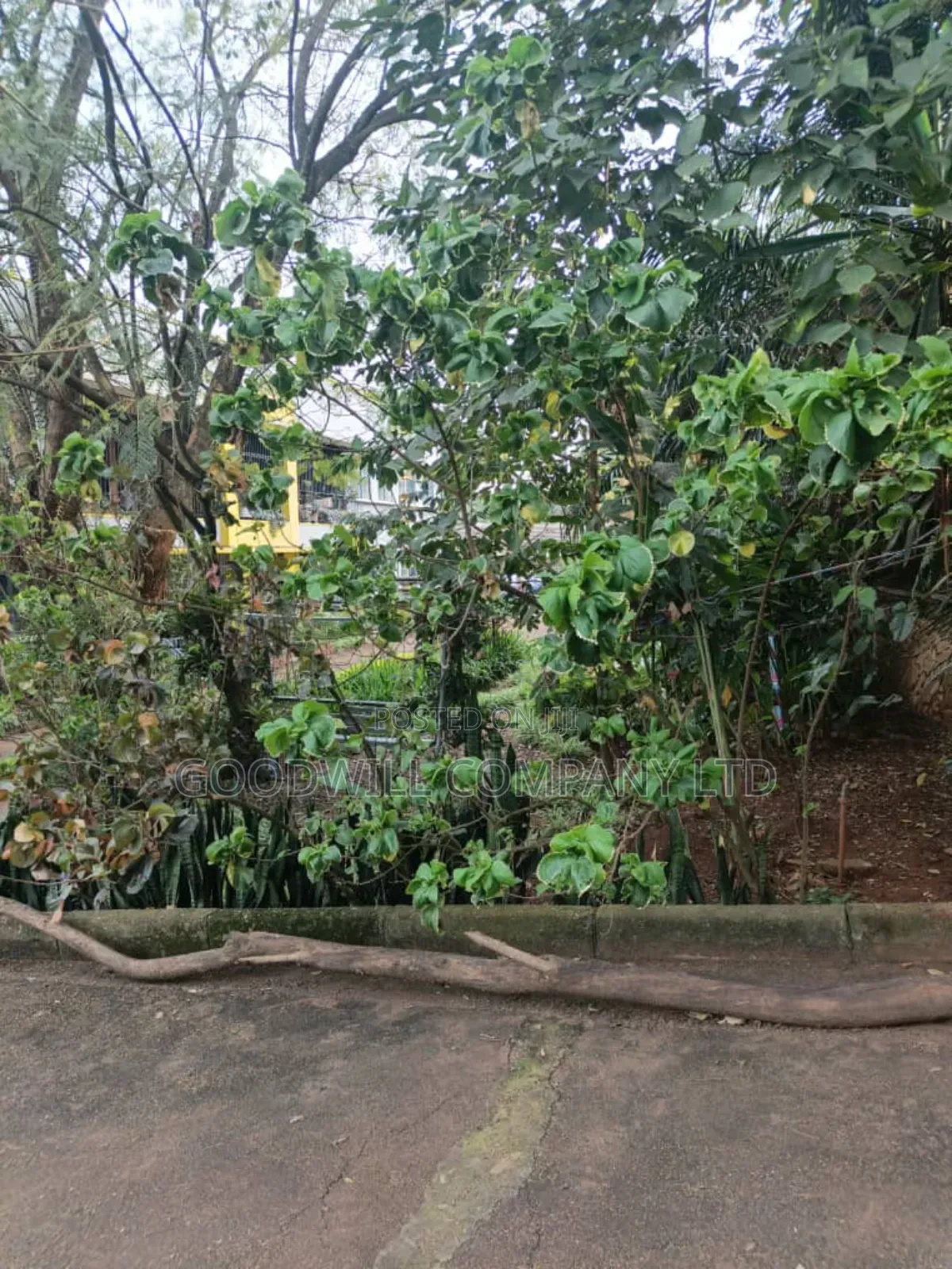 53 Decimals Plot of Land in Kololo Kampala City in Central Division