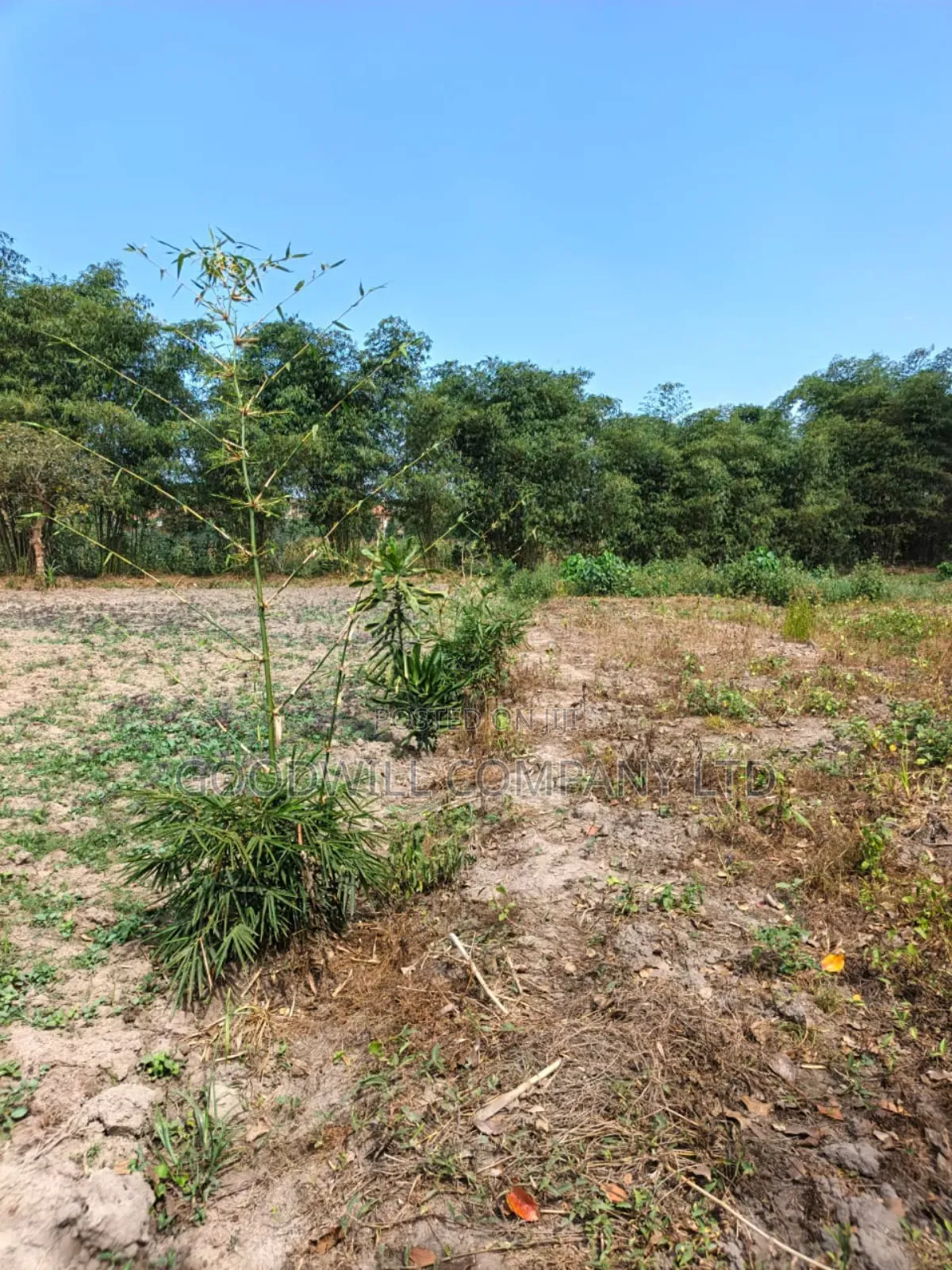 37 Decimals of Land in Kyanja Kungu in Central Division