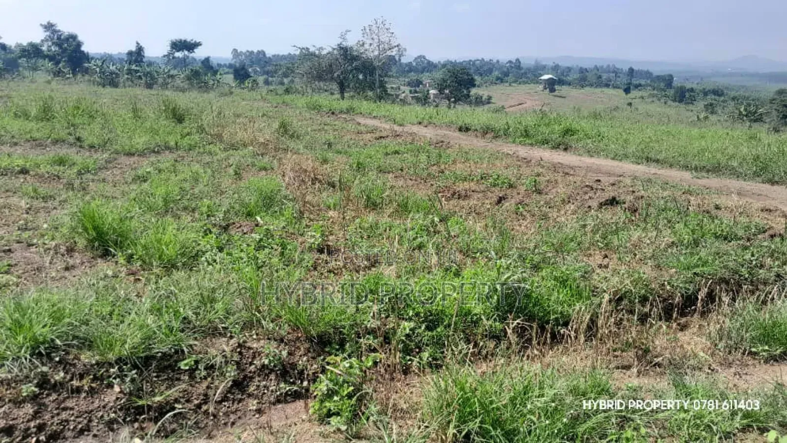 Prime Plots for Sale at Kakiri~Kikugi Clear View Estate Along Hoima Rd in Kakiri