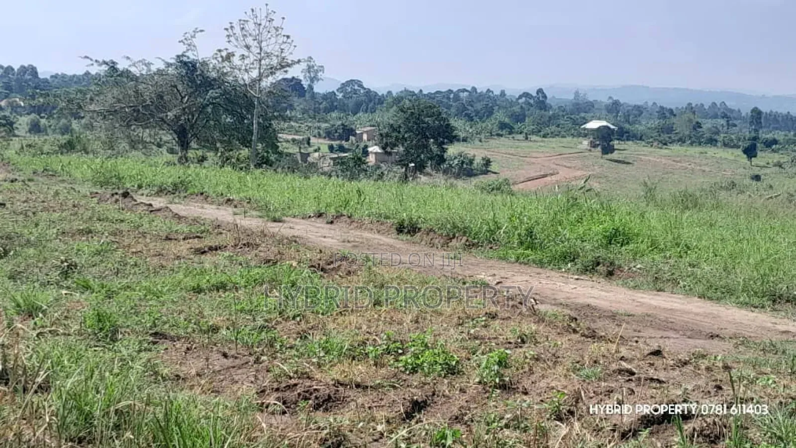 Prime Plots for Sale at Kakiri~Kikugi Clear View Estate Along Hoima Rd in Kakiri