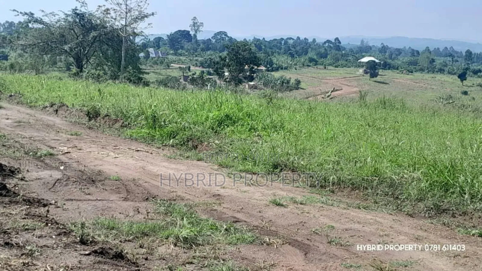 Prime Plots for Sale at Kakiri~Kikugi Clear View Estate Along Hoima Rd in Kakiri