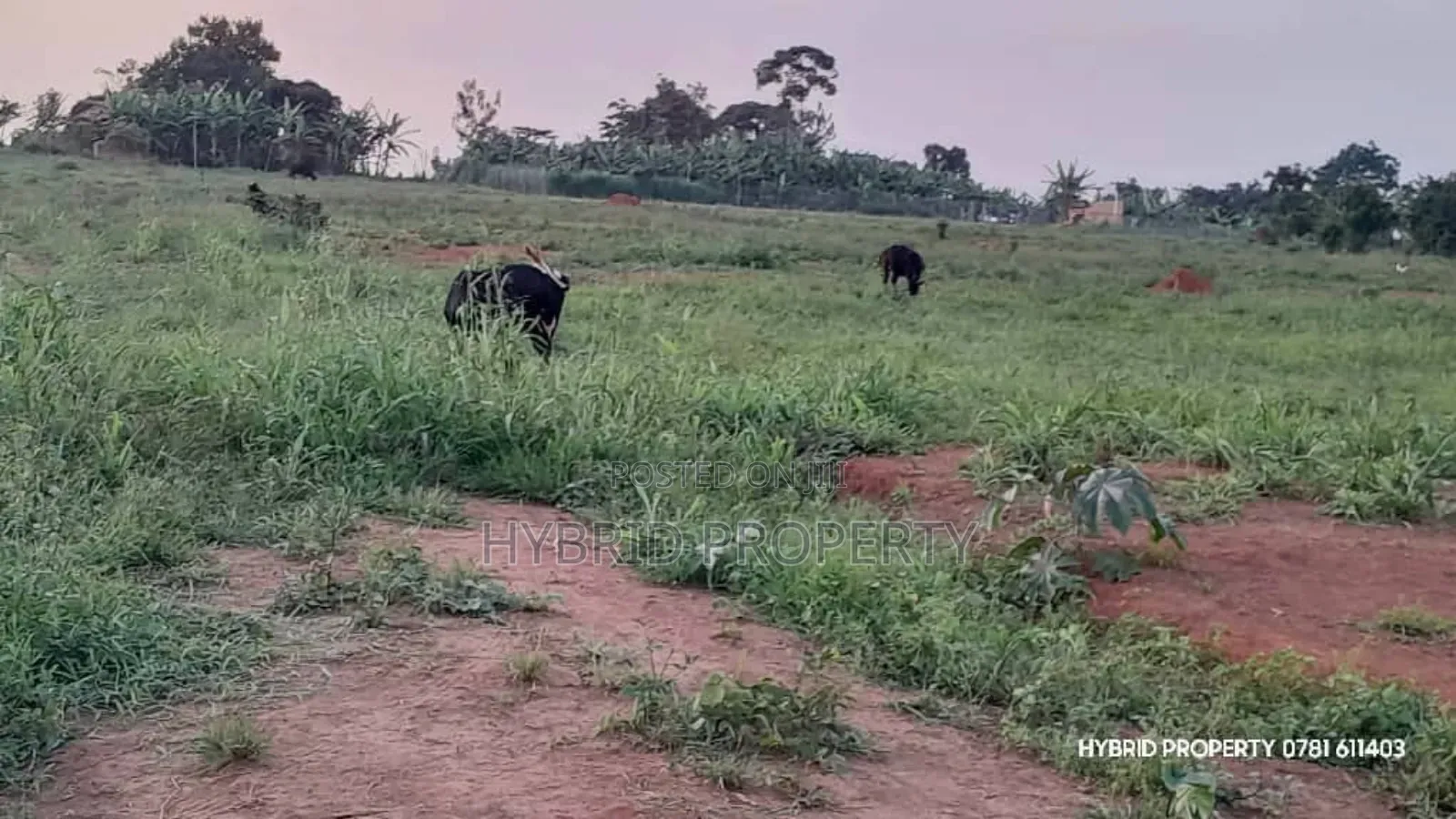Prime Plots For Sale At Wakiso~Banda Prestigious Mega Estate~Hoima Rd. in Wakiso / Wakiso