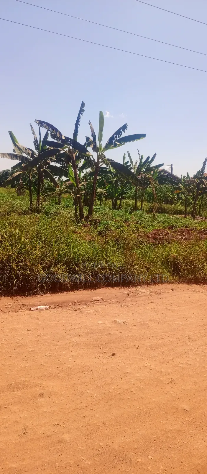 1 Acre Commercial Land in Jinja Misindye After Namugongo in Central Division