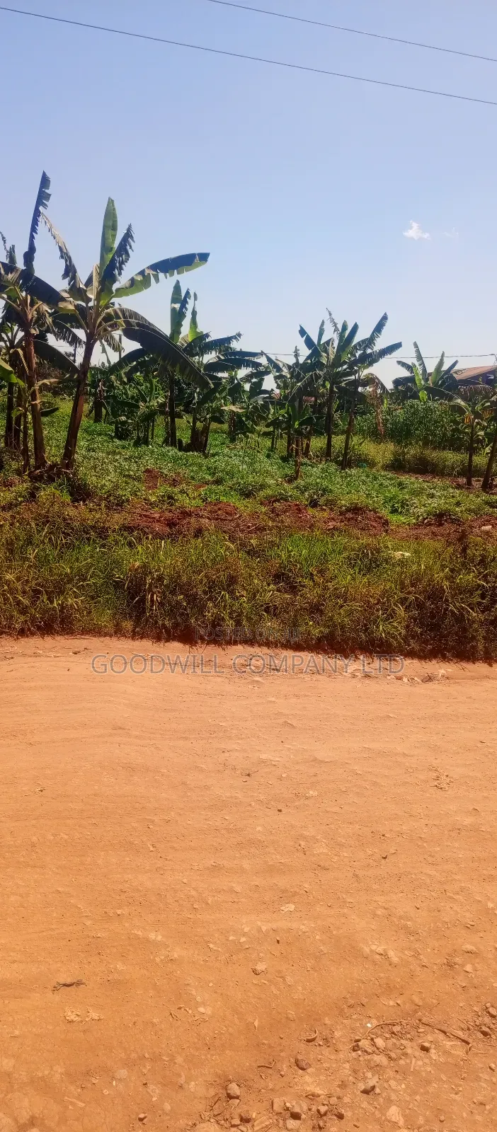 1 Acre Commercial Land in Jinja Misindye After Namugongo in Central Division