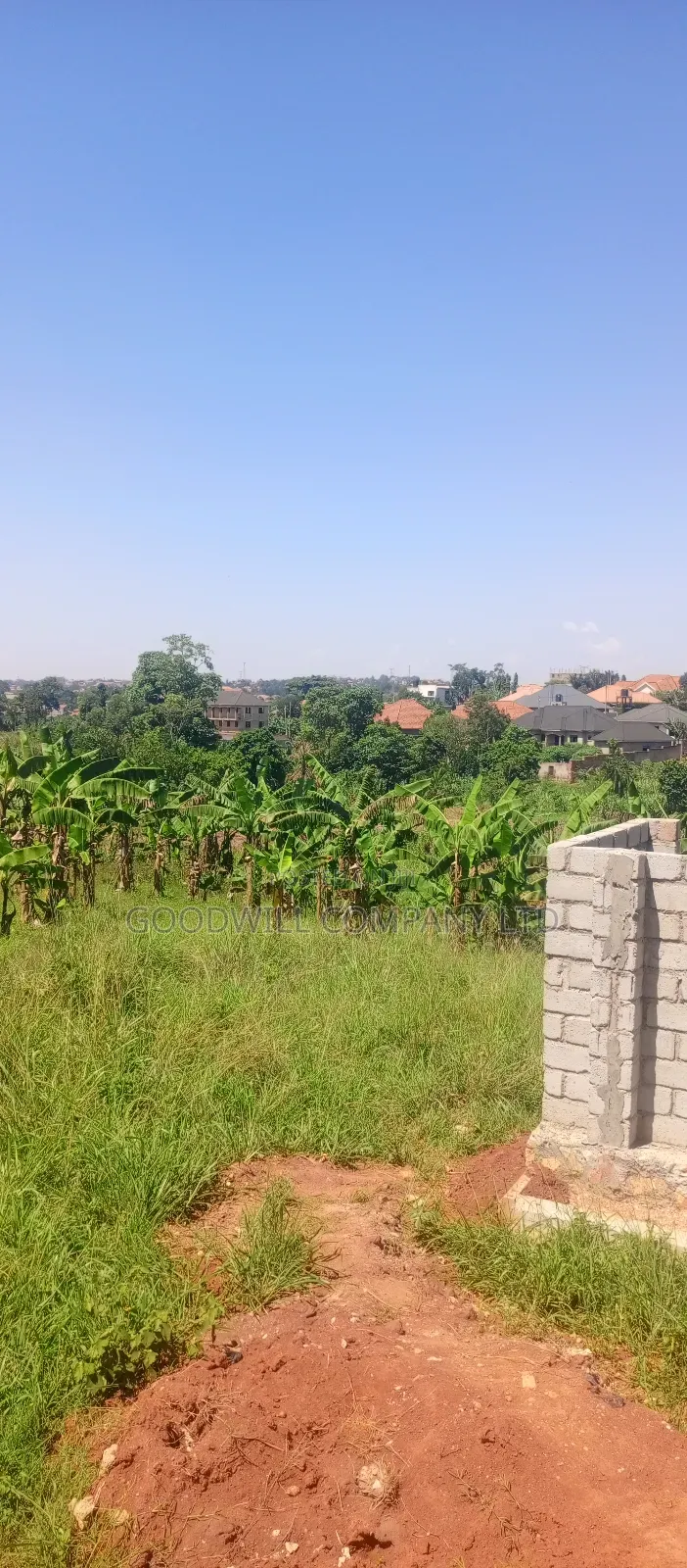 50*100 Plots of Land in Jinja Misindye Namugongo in Central Division