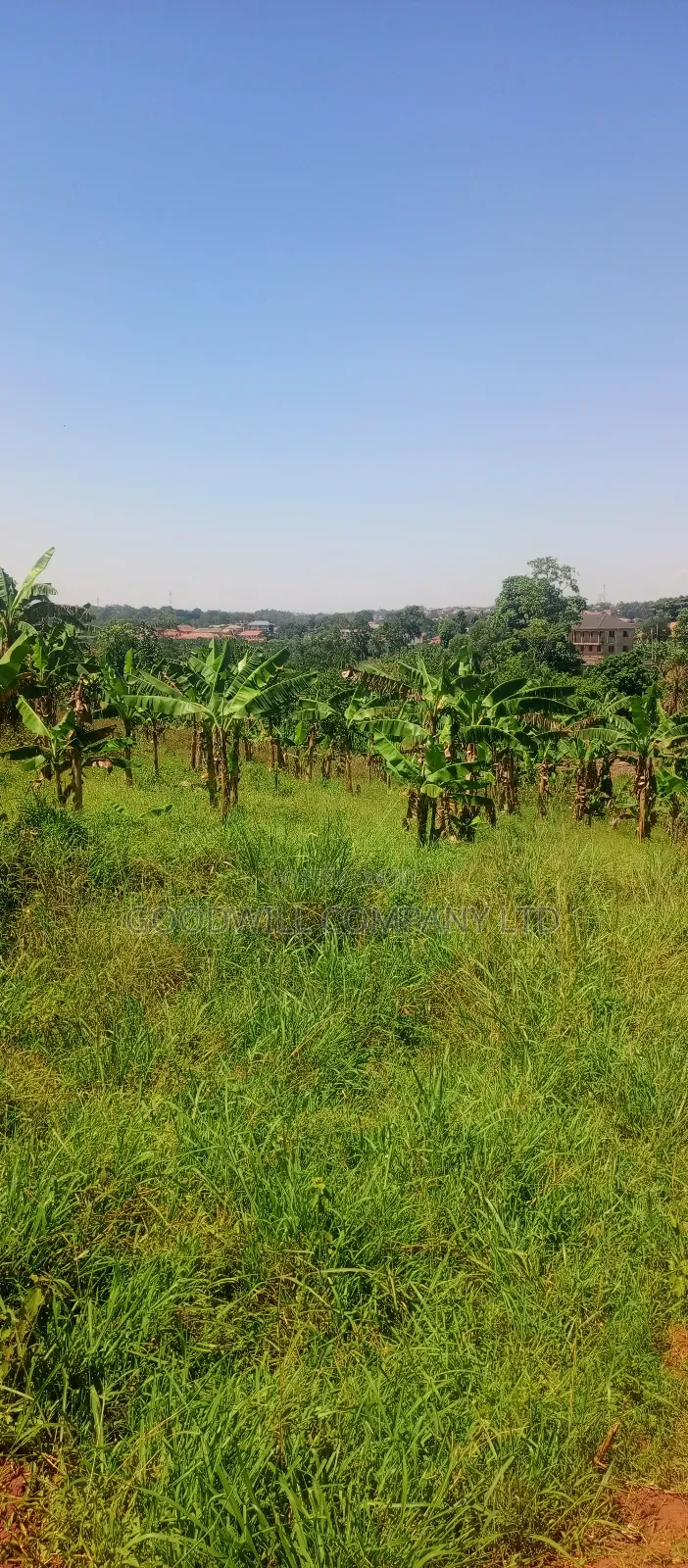50*100 Plots of Land in Jinja Misindye Namugongo in Central Division