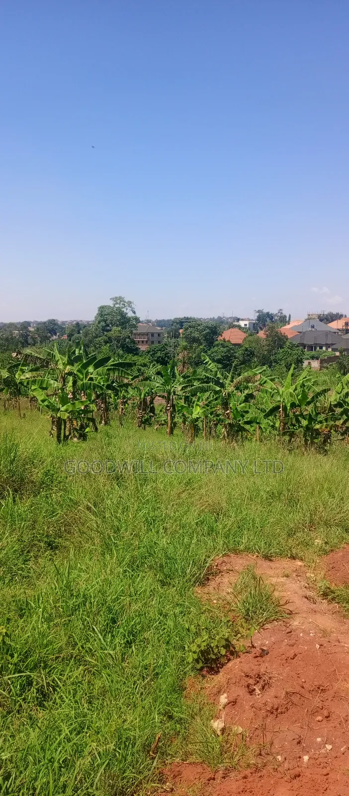 50*100 Plots of Land in Jinja Misindye Namugongo in Central Division