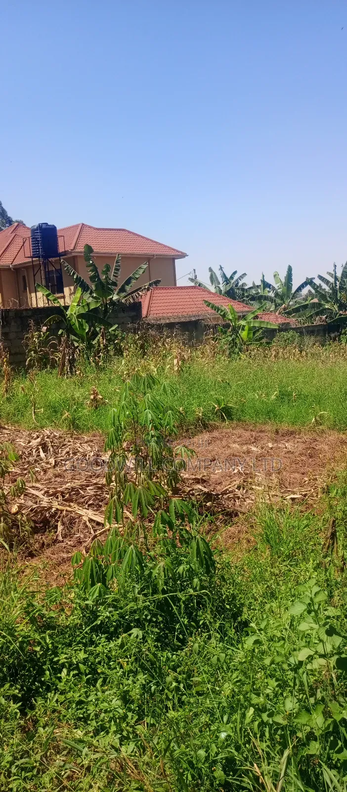 100*100 Plot of Land in Jinja Misindye Namugongo in Central Division