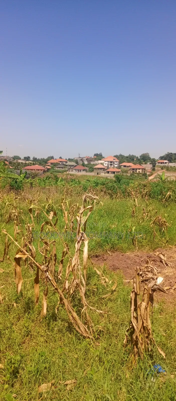 100*100 Plot of Land in Jinja Misindye Namugongo in Central Division