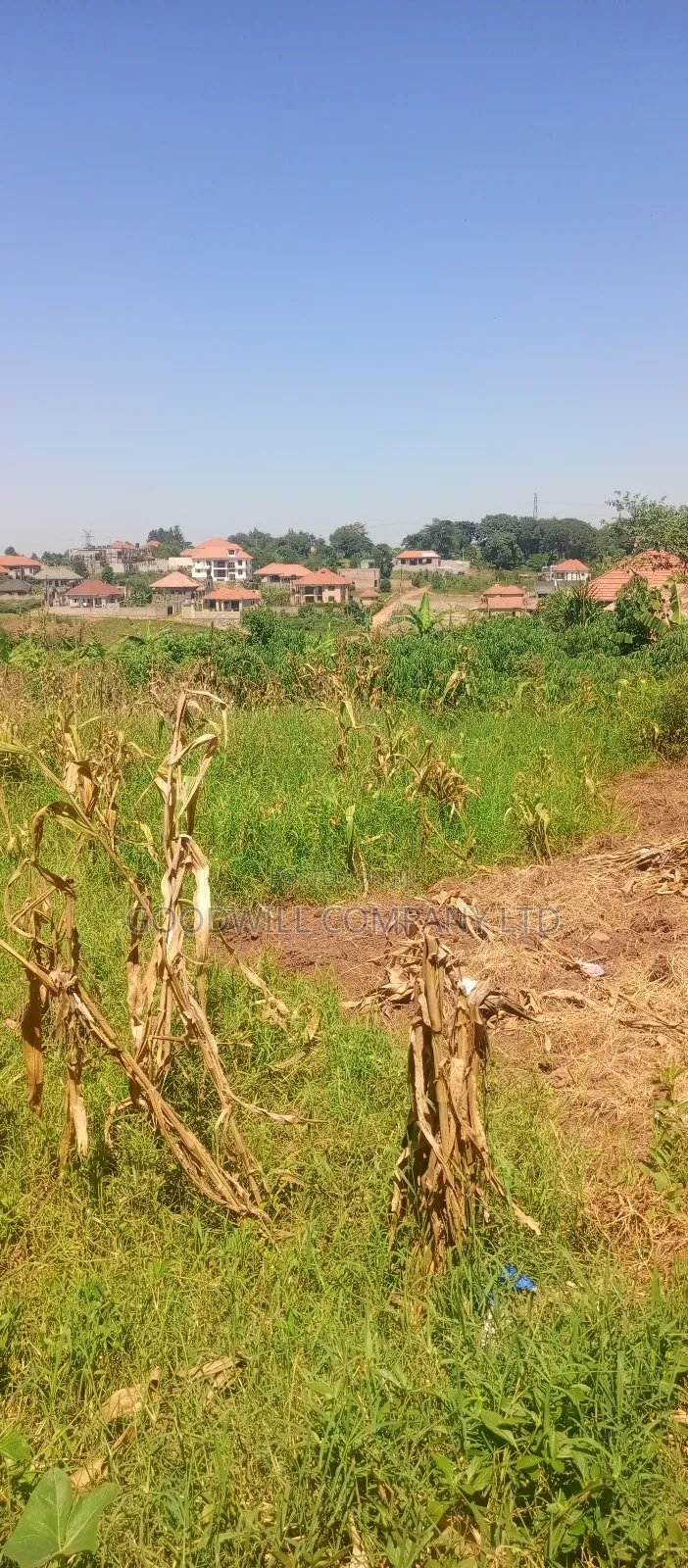 100*100 Plot of Land in Jinja Misindye Namugongo in Central Division