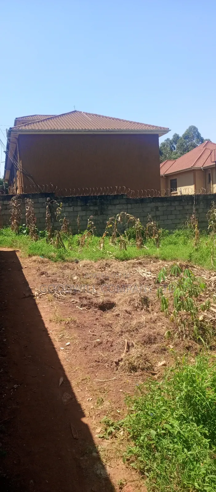 100*100 Plot of Land in Jinja Misindye Namugongo in Central Division