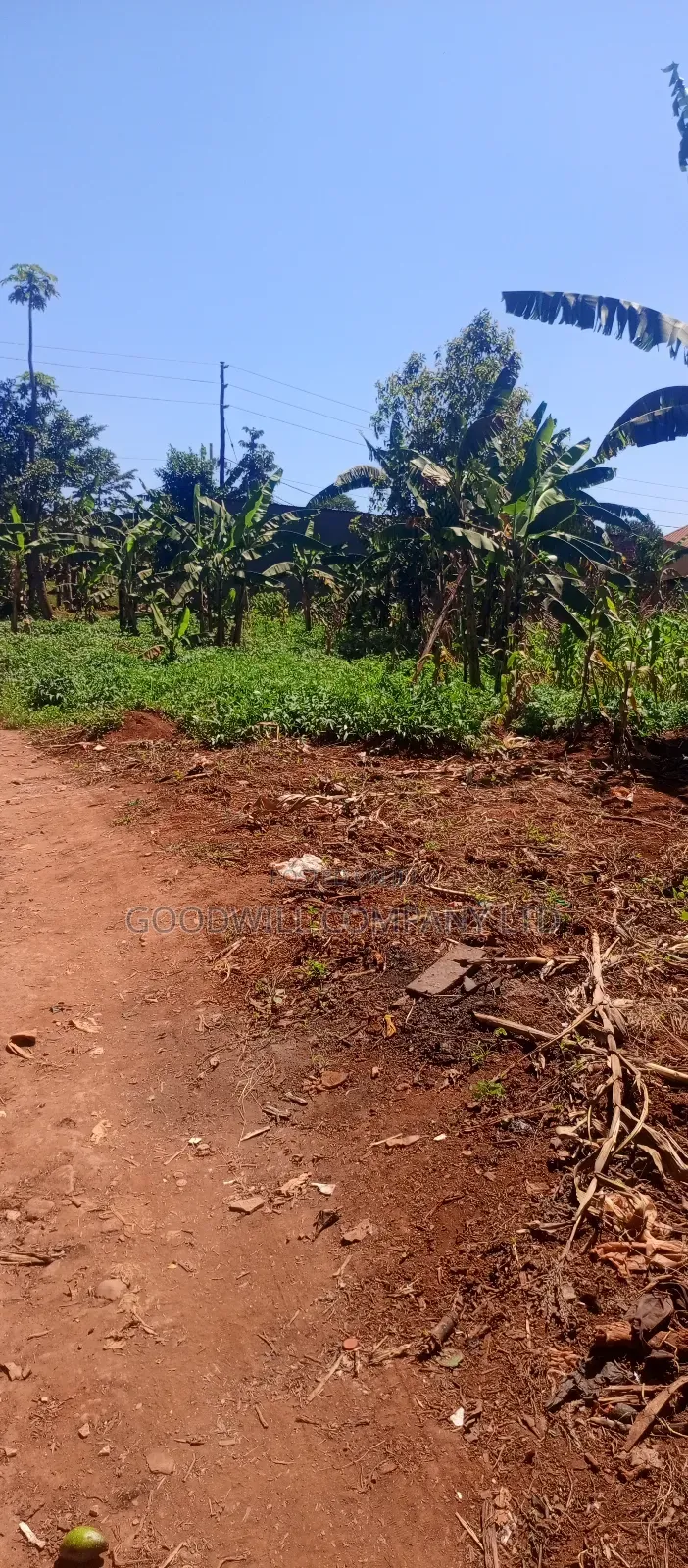 50 Decimals/ Half Acre of Land in Jinja Misindye Namugongo in Central Division