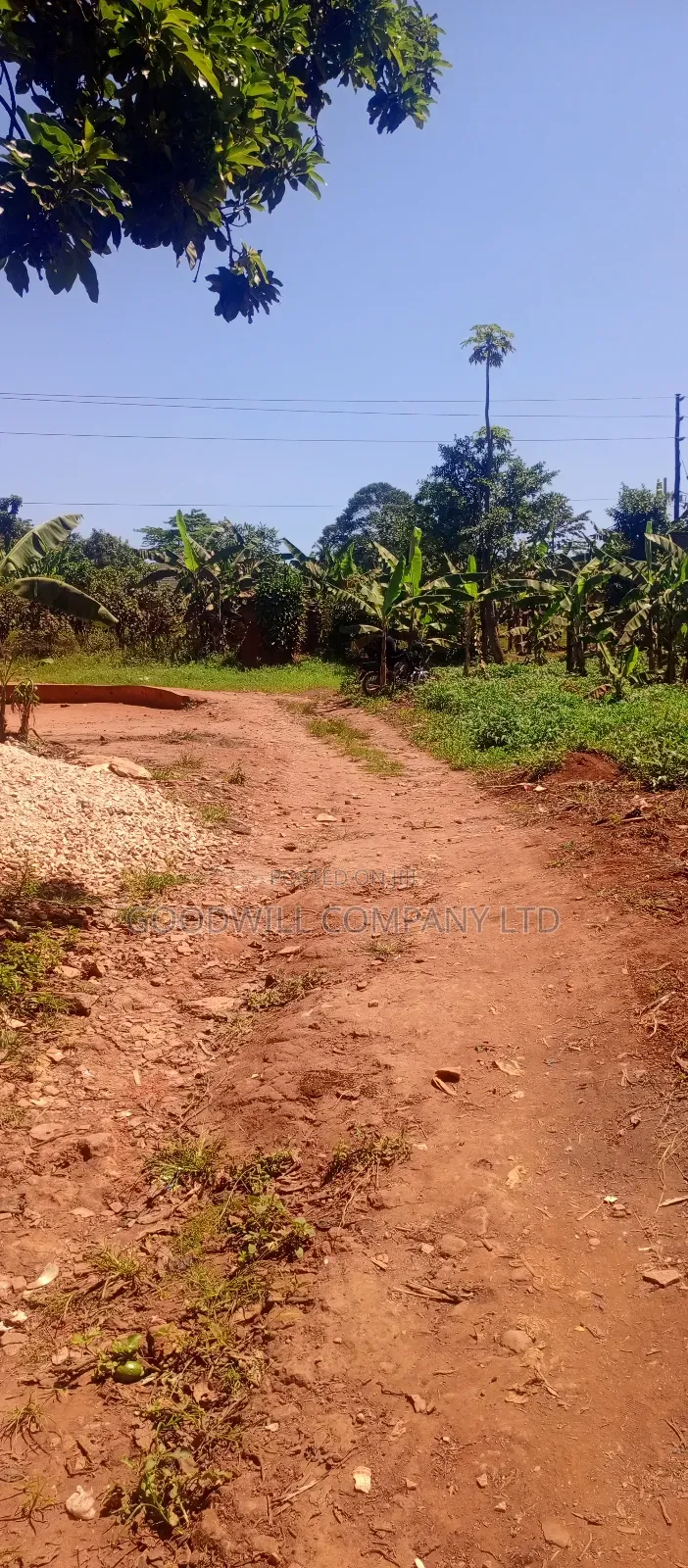 50 Decimals/ Half Acre of Land in Jinja Misindye Namugongo in Central Division