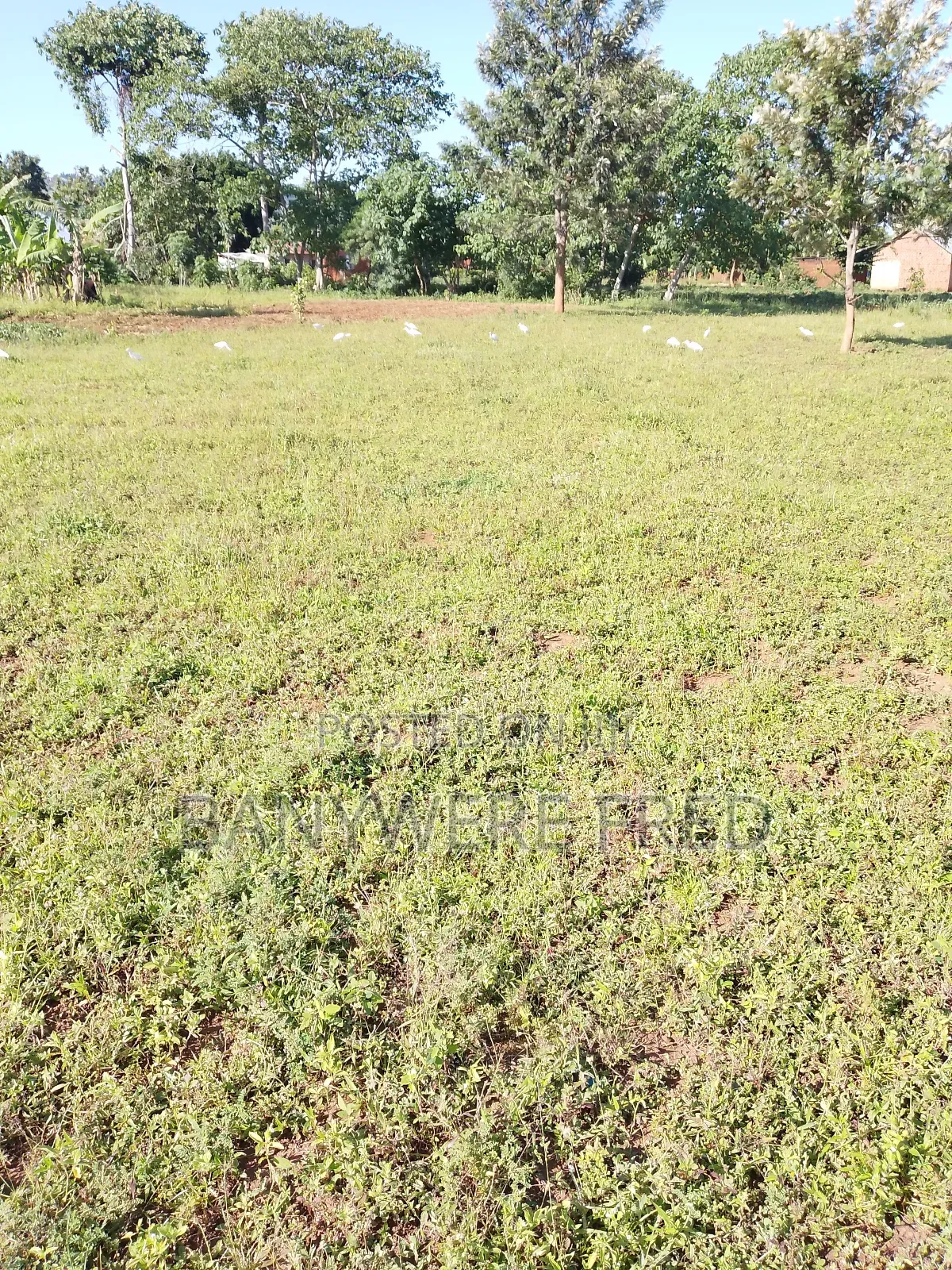 Land for Sale 2.6 Acres at 280m All in Mukono in Ntenjeru / Mukono