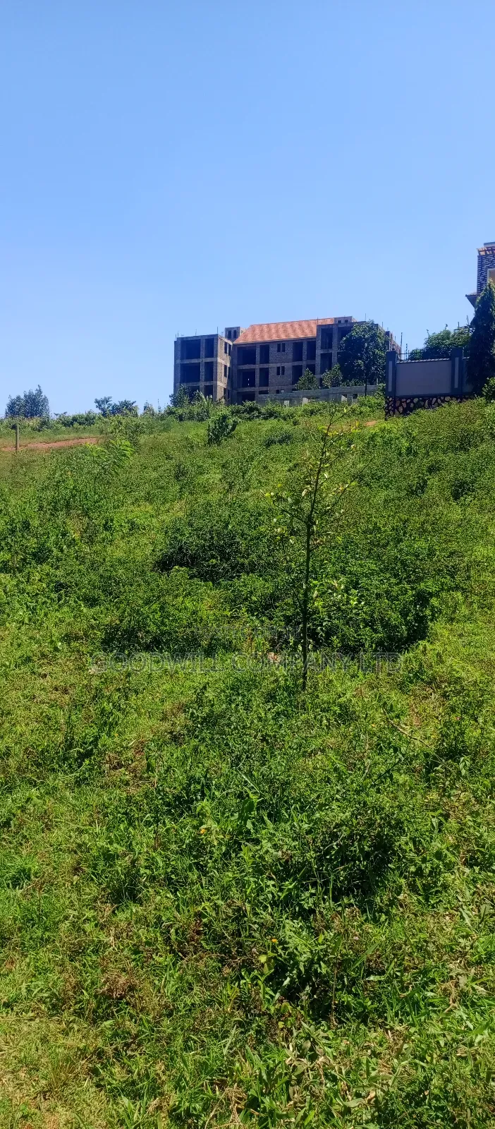 100 by 100 Plot of Land in Jinja Misindye on a Hill in Central Division