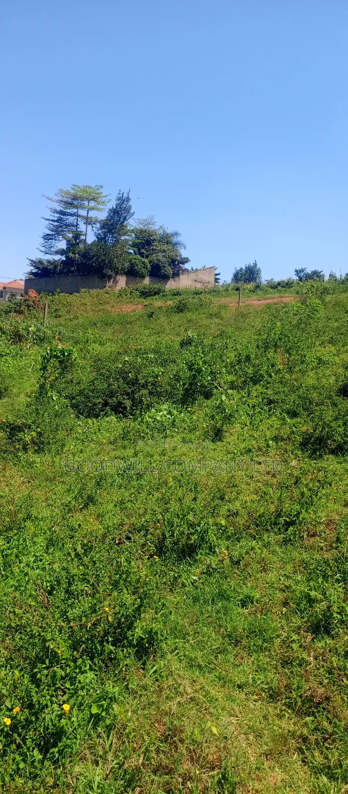 100 by 100 Plot of Land in Jinja Misindye on a Hill in Central Division