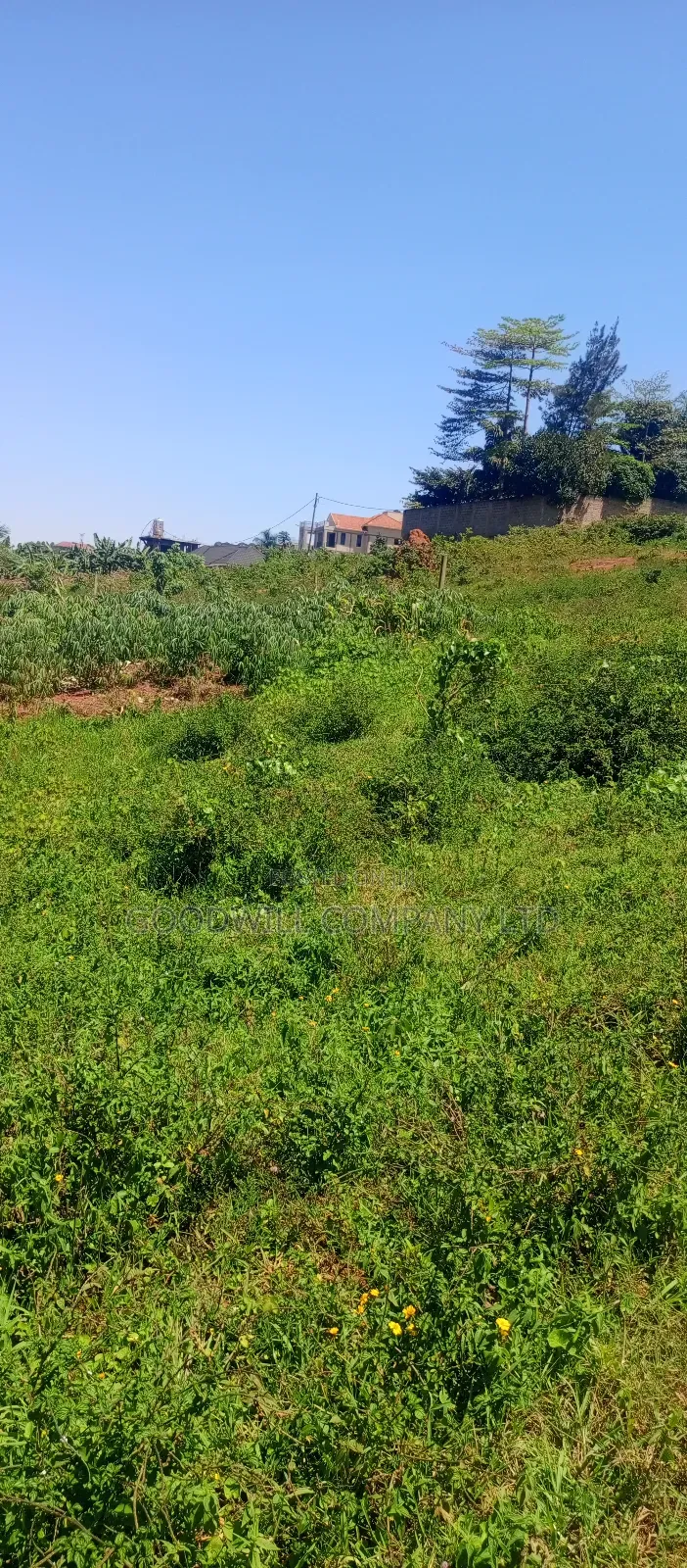100 by 100 Plot of Land in Jinja Misindye on a Hill in Central Division