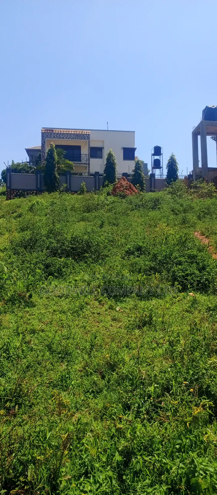 100 by 100 Plot of Land in Jinja Misindye on a Hill in Central Division