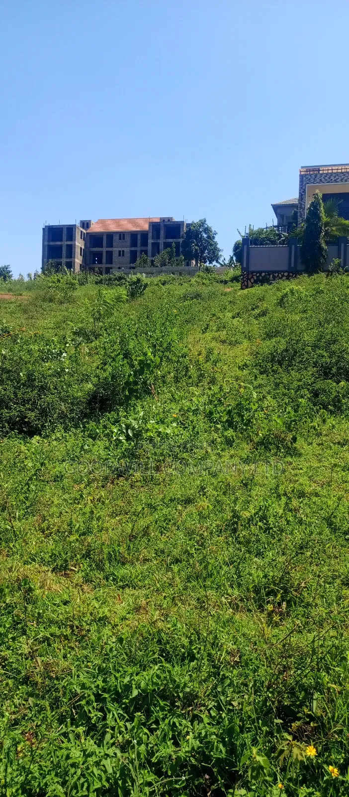 100 by 100 Plot of Land in Jinja Misindye on a Hill in Central Division