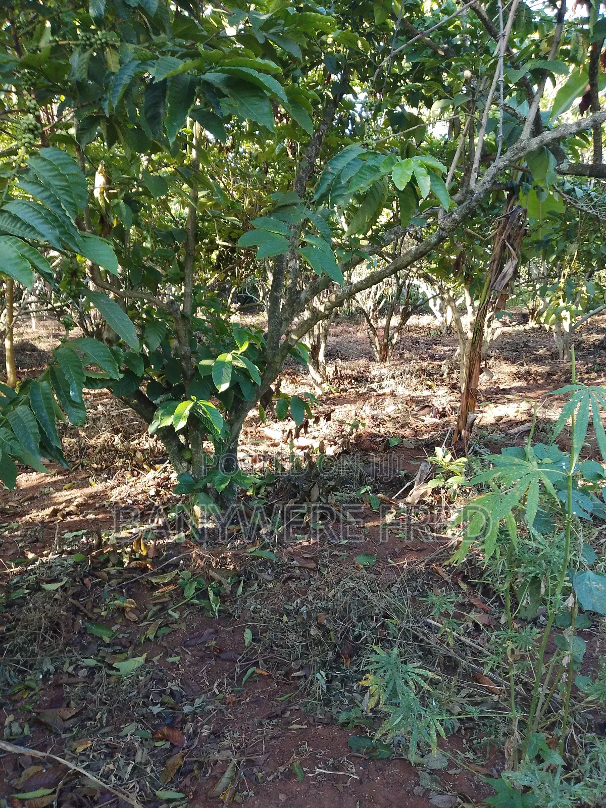 5 Acers of Land for Sale in Mukono Najja at 27m Ugx in Ntenjeru / Mukono