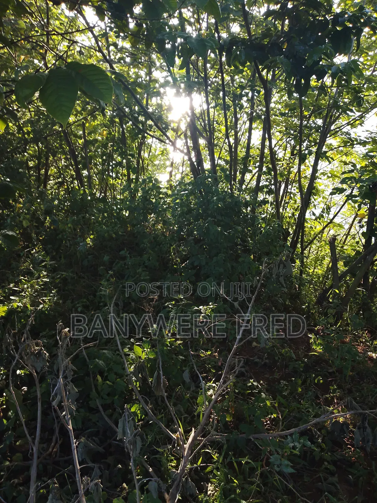 350 Acres of Land for Sale in Kakiri Kiti at 17m Ugx in Kakiri