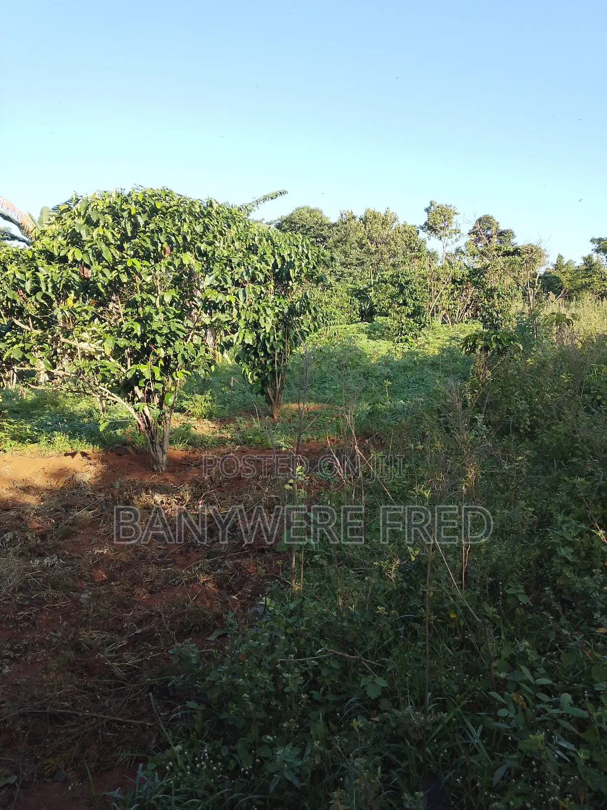 350 Acres of Land for Sale in Kakiri Kiti at 17m Ugx in Kakiri