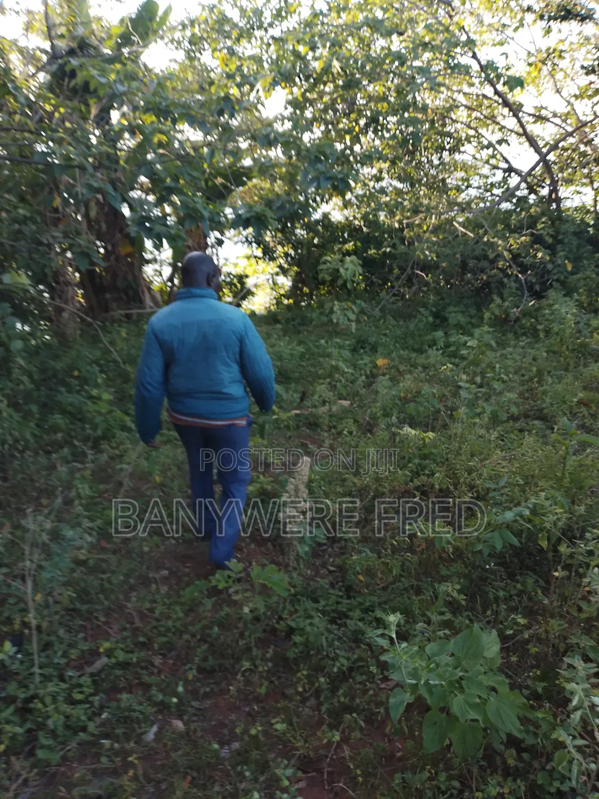 350 Acres of Land for Sale in Kakiri Kiti at 17m Ugx in Kakiri