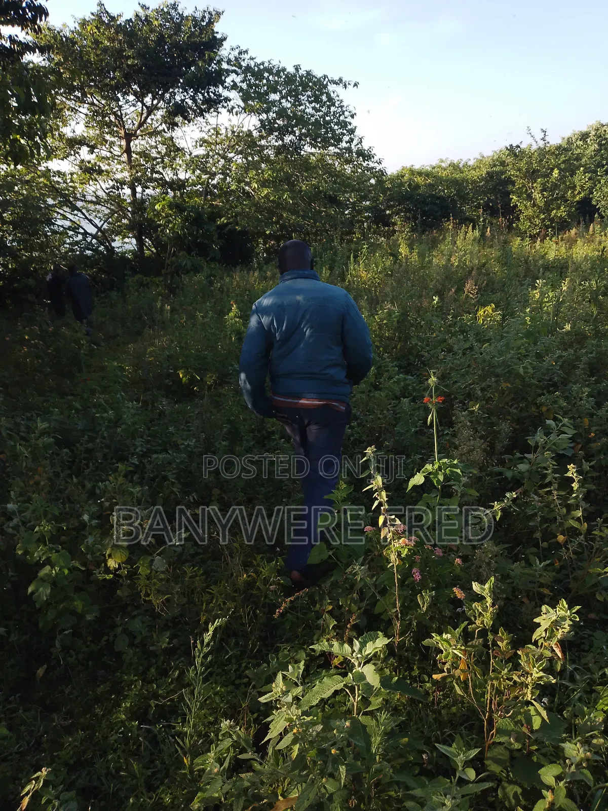 10 Acres of Land for Sale in Nakaseke Ugx Per Acre in Luwero / Luwero