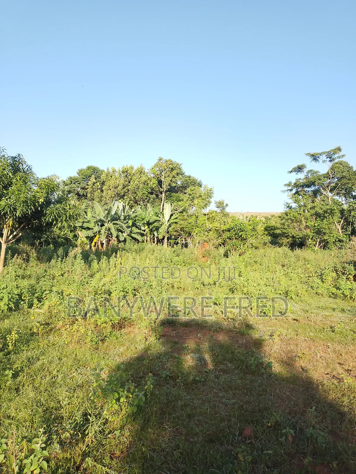 10 Acres of Land for Sale in Nakaseke Ugx Per Acre in Luwero / Luwero