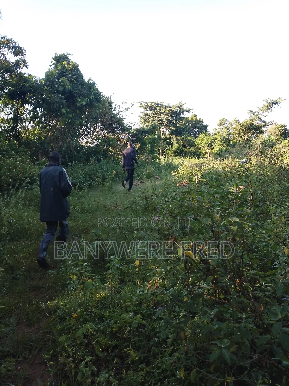 10 Acres of Land for Sale in Nakaseke Ugx Per Acre in Luwero / Luwero