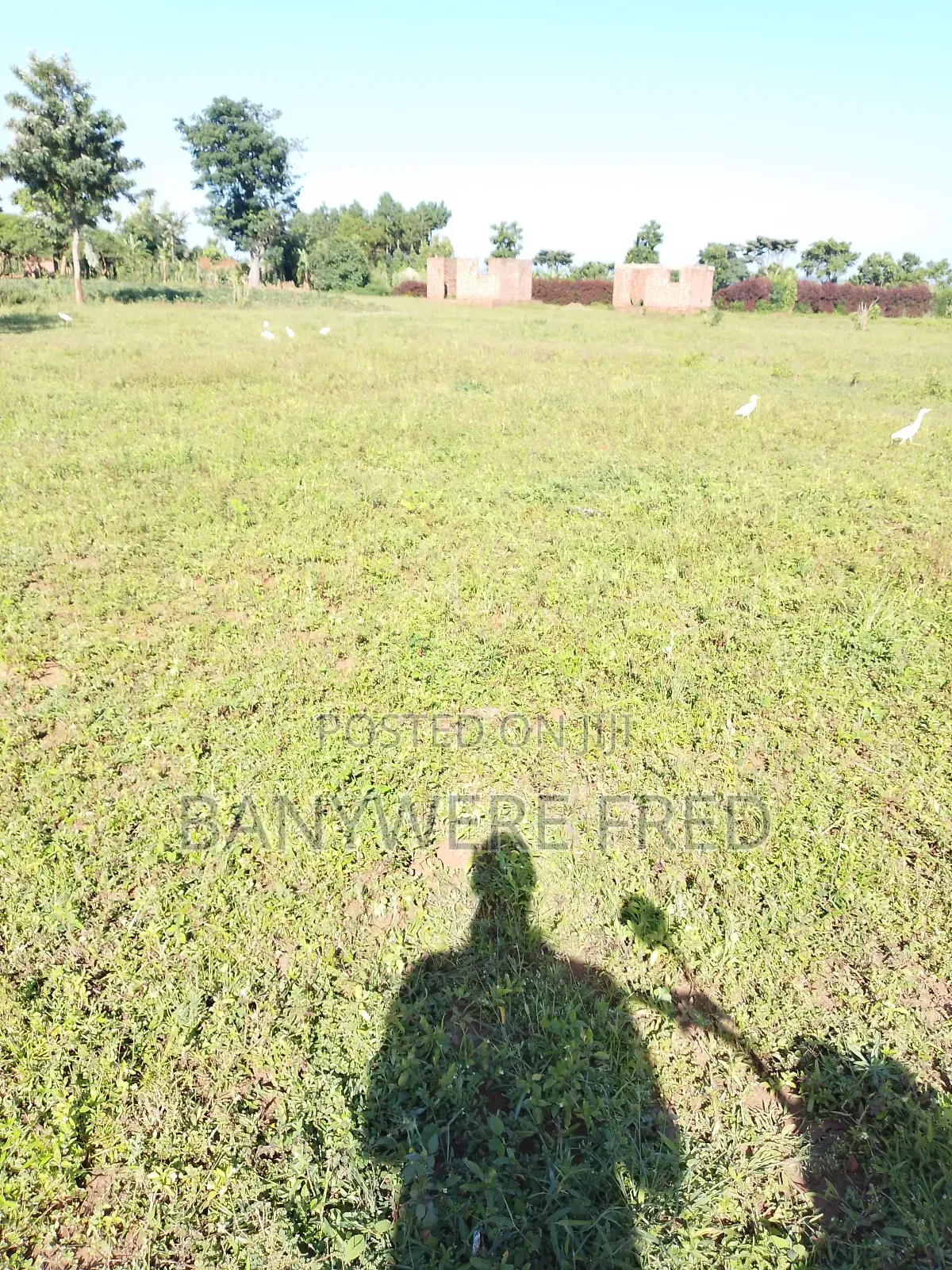 4.5 Acres of Land for Sale at 60m Ugx Per Acre in Nyenga Buikwe in Ntenjeru / Mukono