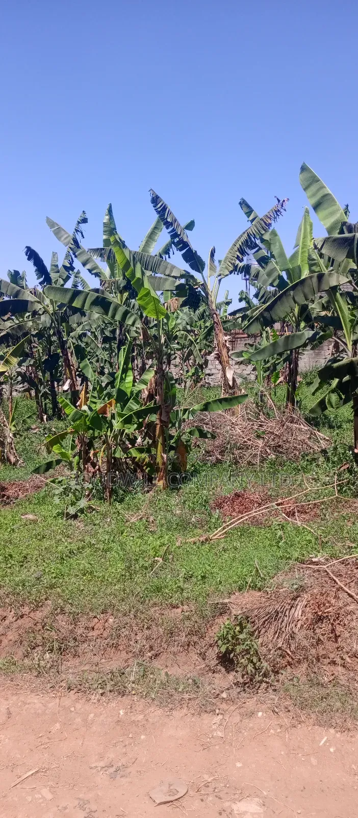 100*100 Plot of Land in Sonde After Namugongo in Central Division