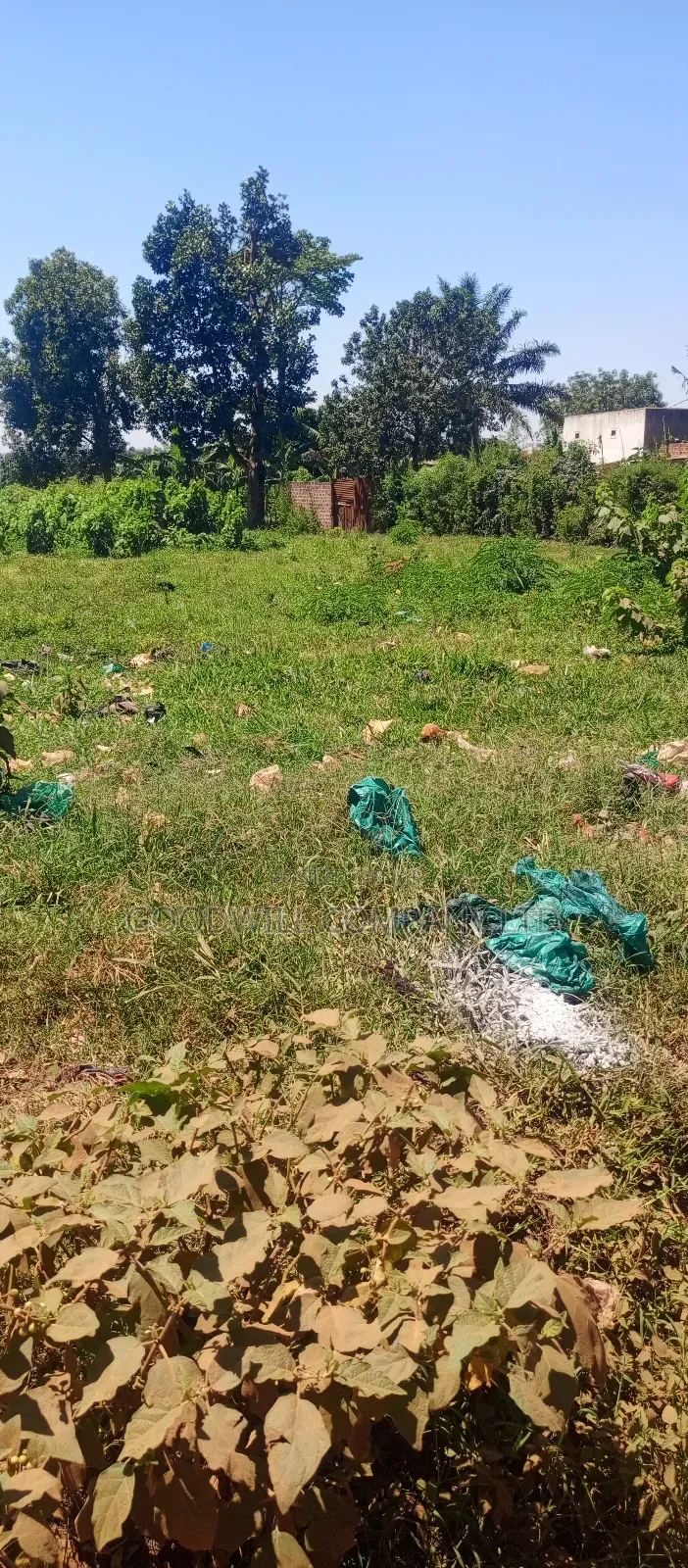 25 Decimals of Land Touching on Marrum Road in Sonde in Central Division
