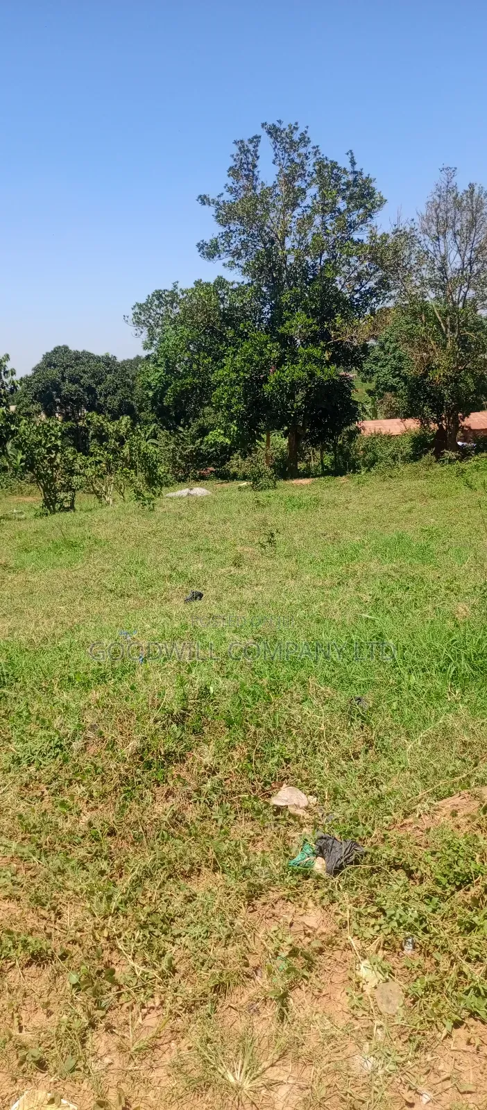 100*100 Plot of Land in Kikulu Town Namugongo on Nabusugwe Rd in Central Division