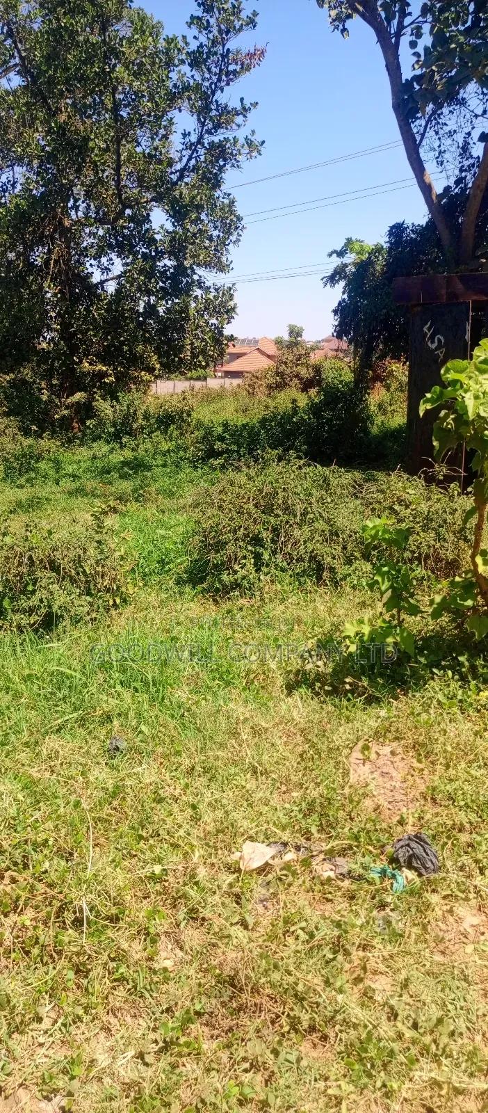100*100 Plot of Land in Kikulu Town Namugongo on Nabusugwe Rd in Central Division