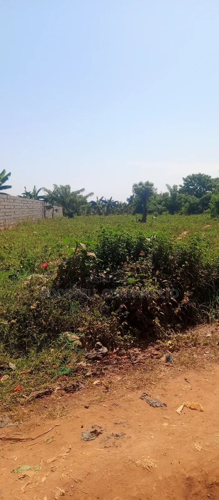 50*100 Plot of Land Touching on Marrum Road in Nsasa Near Bulindo Town in Central Division