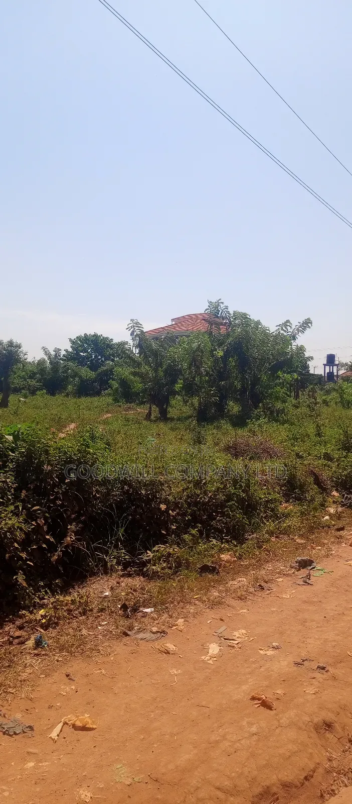 50*100 Plot of Land Touching on Marrum Road in Nsasa Near Bulindo Town in Central Division