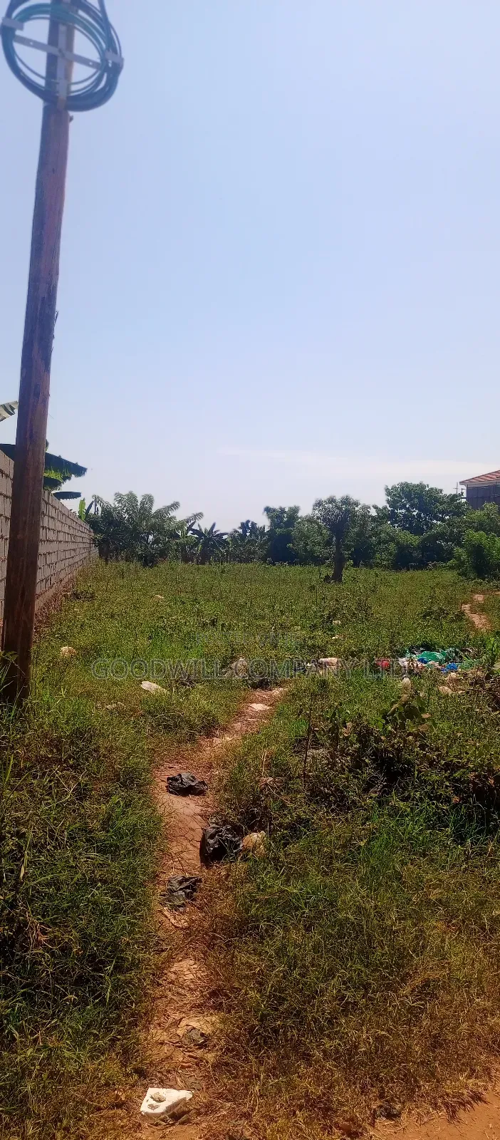 50*100 Plot of Land Touching on Marrum Road in Nsasa Near Bulindo Town in Central Division