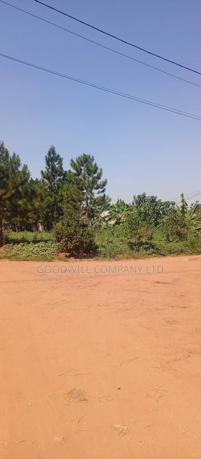 50*100 Plot of Touching on Marrum Road in Kiwologoma in Central Division
