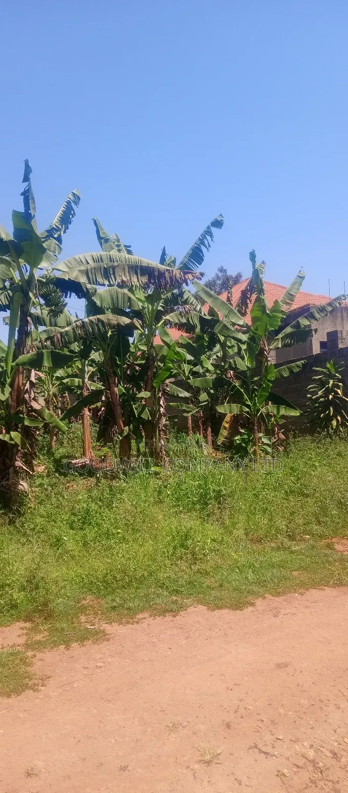 50*100 Plot of Land in Kabubu Gayaza in Central Division